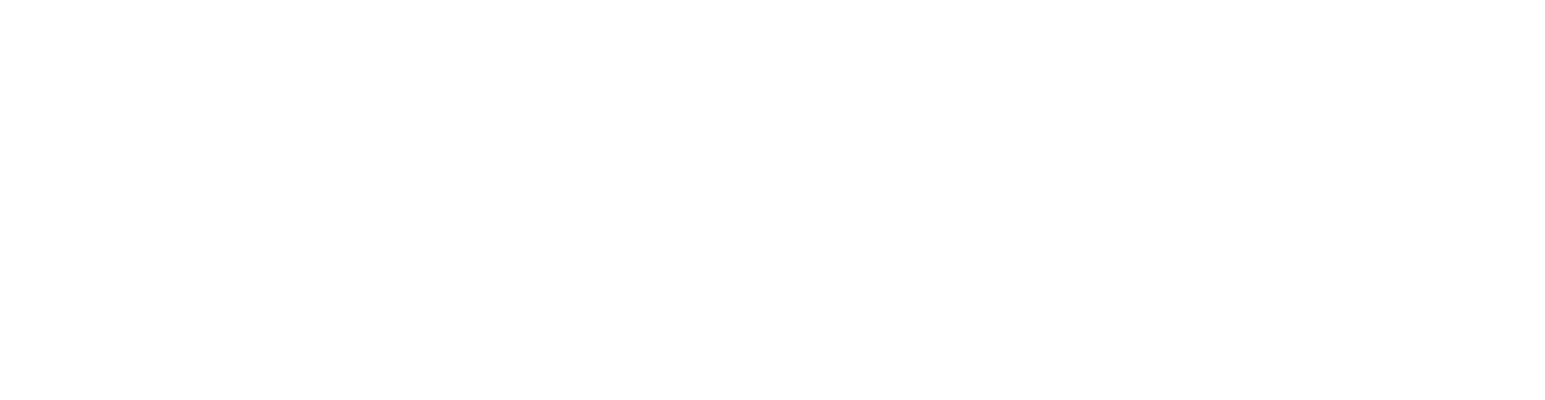 BMW Benigar